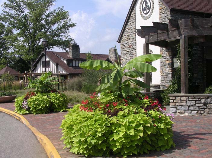 Women in the Outdoors: Night Hike Senses image